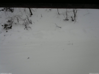 長野県菅平高原 ゆたか山荘 南側 2026/01/11 11:45