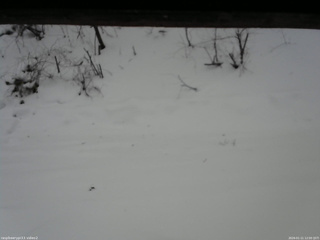 長野県菅平高原 ゆたか山荘 南側 2026/01/11 12:00