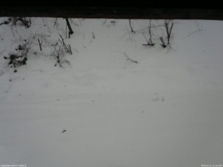 長野県菅平高原 ゆたか山荘 南側 2026/01/11 12:30