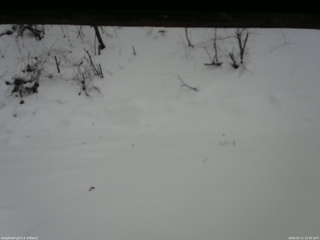 長野県菅平高原 ゆたか山荘 南側 2026/01/11 12:45