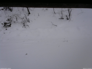 長野県菅平高原 ゆたか山荘 南側 2026/01/11 13:00