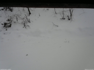 長野県菅平高原 ゆたか山荘 南側 2026/01/11 13:15