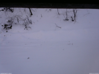 長野県菅平高原 ゆたか山荘 南側 2026/01/11 13:30