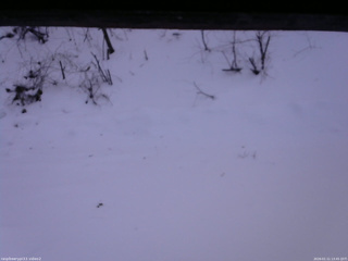 長野県菅平高原 ゆたか山荘 南側 2026/01/11 13:45