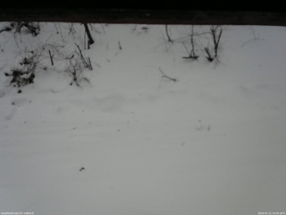 長野県菅平高原 ゆたか山荘 南側 2026/01/11 14:00