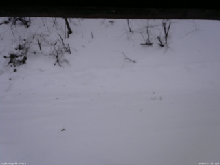 長野県菅平高原 ゆたか山荘 南側 2026/01/11 14:15