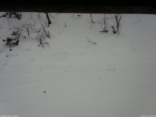 長野県菅平高原 ゆたか山荘 南側 2026/01/11 14:30