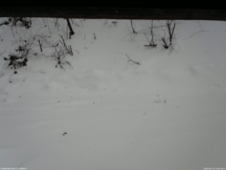 長野県菅平高原 ゆたか山荘 南側 2026/01/11 14:45