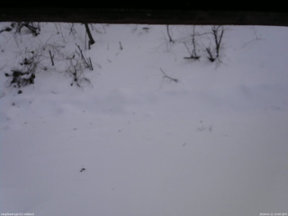 長野県菅平高原 ゆたか山荘 南側 2026/01/11 15:00