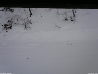 長野県菅平高原 ゆたか山荘 南側 2026/01/11 15:15