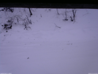 長野県菅平高原 ゆたか山荘 南側 2026/01/11 15:45