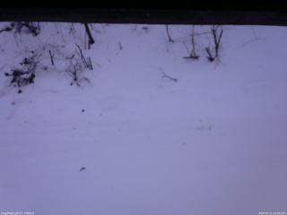 長野県菅平高原 ゆたか山荘 南側 2026/01/11 16:00