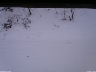 長野県菅平高原 ゆたか山荘 南側 2026/01/11 16:15