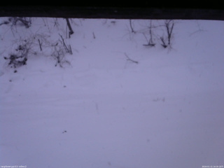 長野県菅平高原 ゆたか山荘 南側 2026/01/11 16:30