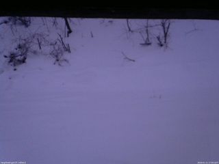 長野県菅平高原 ゆたか山荘 南側 2026/01/11 17:00