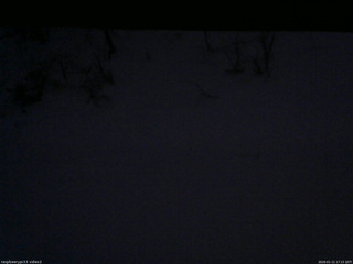 長野県菅平高原 ゆたか山荘 南側 2026/01/11 17:15