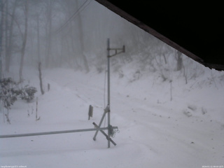 長野県菅平高原 ゆたか山荘 東側(坂下) 2026/01/11 08:00