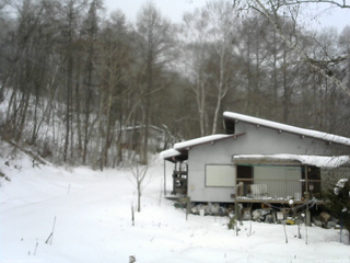長野県菅平高原 ゆたか山荘 西側(坂上) 2026/01/11 08:45