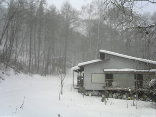 長野県菅平高原 ゆたか山荘 西側(坂上) 2026/01/11 11:30