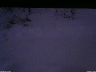 長野県菅平高原 ゆたか山荘 南側 2026/01/12 06:30