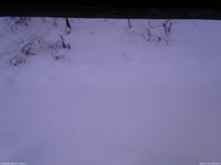 長野県菅平高原 ゆたか山荘 南側 2026/01/12 06:45