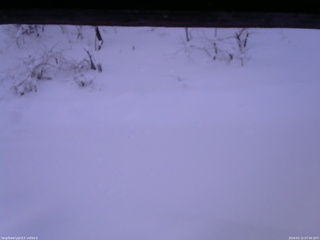 長野県菅平高原 ゆたか山荘 南側 2026/01/12 07:00