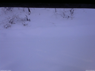 長野県菅平高原 ゆたか山荘 南側 2026/01/12 08:00