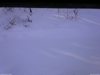 長野県菅平高原 ゆたか山荘 南側 2026/01/12 08:45