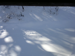 長野県菅平高原 ゆたか山荘 南側 2026/01/12 10:00