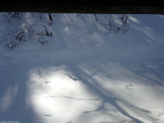 長野県菅平高原 ゆたか山荘 南側 2026/01/12 10:30