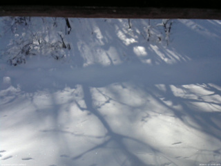 長野県菅平高原 ゆたか山荘 南側 2026/01/12 10:45