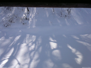 長野県菅平高原 ゆたか山荘 南側 2026/01/12 11:30