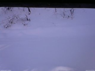 長野県菅平高原 ゆたか山荘 南側 2026/01/12 12:45