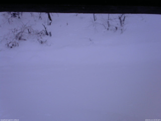 長野県菅平高原 ゆたか山荘 南側 2026/01/12 16:30