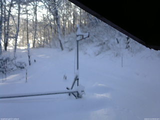 長野県菅平高原 ゆたか山荘 東側(坂下) 2026/01/12 08:00