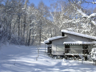 長野県菅平高原 ゆたか山荘 西側(坂上) 2026/01/12 11:00