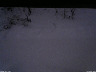 長野県菅平高原 ゆたか山荘 南側 2026/01/13 06:30