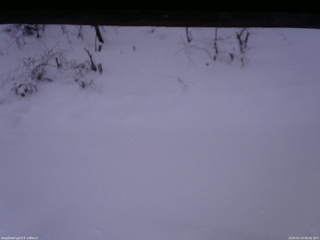 長野県菅平高原 ゆたか山荘 南側 2026/01/13 06:45