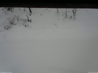 長野県菅平高原 ゆたか山荘 南側 2026/01/13 07:30