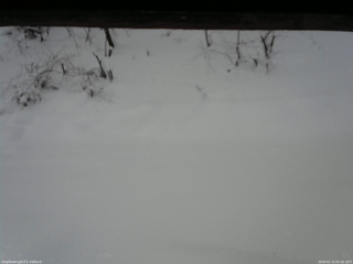 長野県菅平高原 ゆたか山荘 南側 2026/01/13 07:45