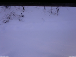 長野県菅平高原 ゆたか山荘 南側 2026/01/13 08:00