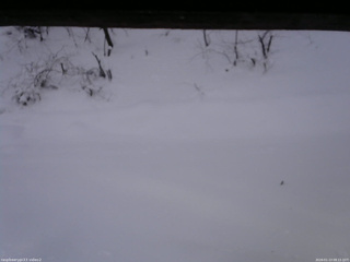 長野県菅平高原 ゆたか山荘 南側 2026/01/13 08:15