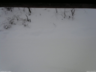 長野県菅平高原 ゆたか山荘 南側 2026/01/13 08:30