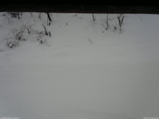 長野県菅平高原 ゆたか山荘 南側 2026/01/13 09:00