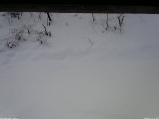 長野県菅平高原 ゆたか山荘 南側 2026/01/13 09:15