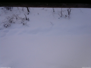 長野県菅平高原 ゆたか山荘 南側 2026/01/13 09:30