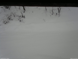 長野県菅平高原 ゆたか山荘 南側 2026/01/13 10:15