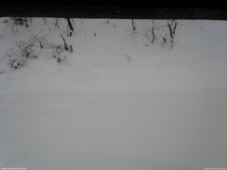 長野県菅平高原 ゆたか山荘 南側 2026/01/13 11:45