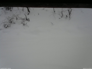 長野県菅平高原 ゆたか山荘 南側 2026/01/13 12:30