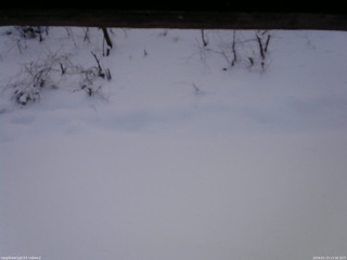 長野県菅平高原 ゆたか山荘 南側 2026/01/13 13:30